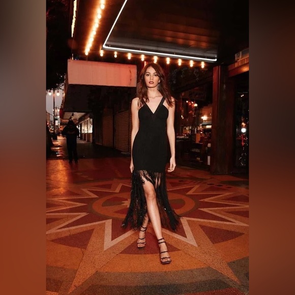 COSMOPOLITAN DRESS THE POPULATION NWT VALENCIA SLEEVELESS FRINGE MIDI DRESS - Picture 2 of 16